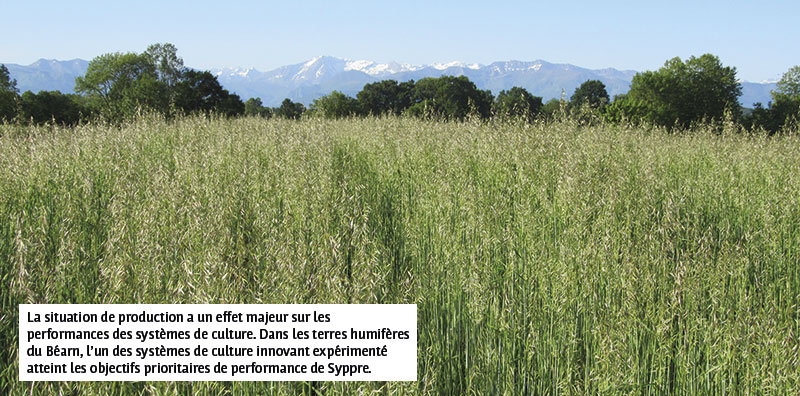 La situation de production a un effet majeur sur les performances des systèmes de culture. Dans les terres humifères du Béarn, l’un des systèmes de culture innovant expérimenté atteint les objectifs prioritaires de performance de Syppre.