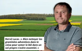 Hervé Lucas : « Bien nettoyer les graminées adventices dans le colza pour semer le blé dans un sol propre s’avère essentiel. »
