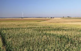 Cette étude montre qu’il est possible d’améliorer le bilan carbone d’une exploitation performante typique de la plaine de Lyon, où le maïs irrigué est la culture majoritaire.
