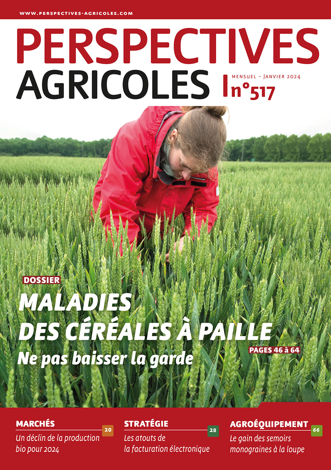 Maladies des céréales à paille : ne pas baisser la garde