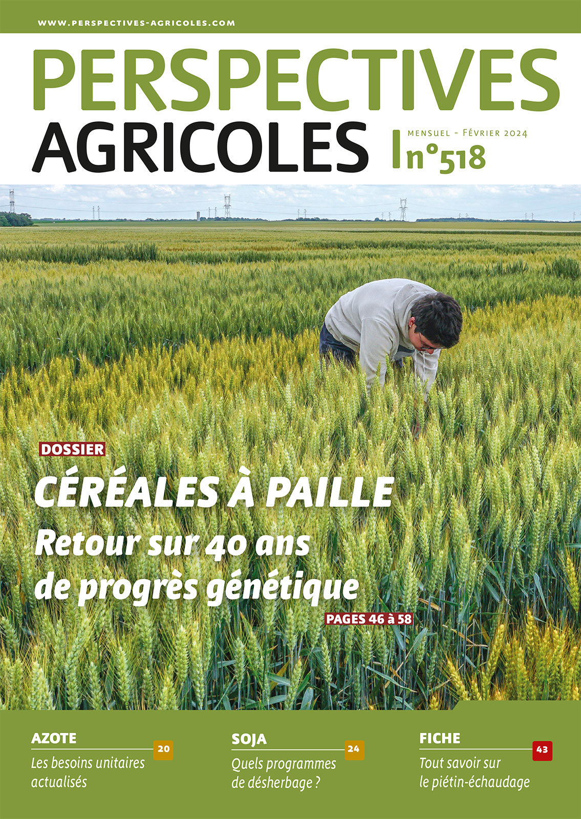 Céréales à paille : retour sur 40 ans de progrès génétique
