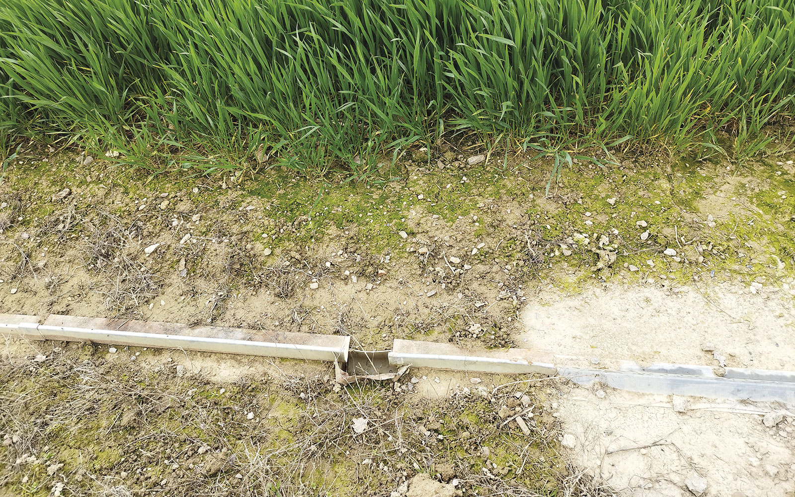 Neuf parcelles de la station sont entourées de drains de collecte des eaux de ruissellement. Ces dernières passent par un bac de mesure de débit avant de rejoindre les cours d’eaux à proximité. Il en va de même pour les eaux de drainage, collectées par des drains souterrains.