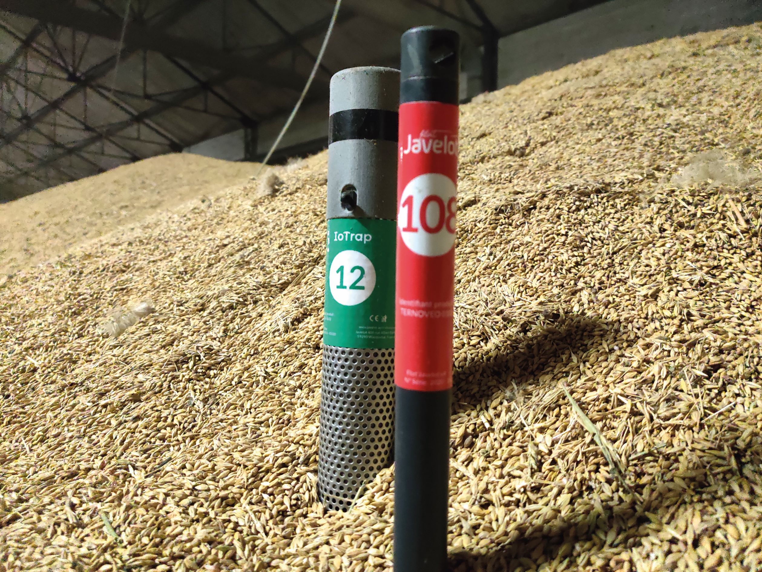 L'appli "insectes du silo" permet d'identifier le risque et d'agir