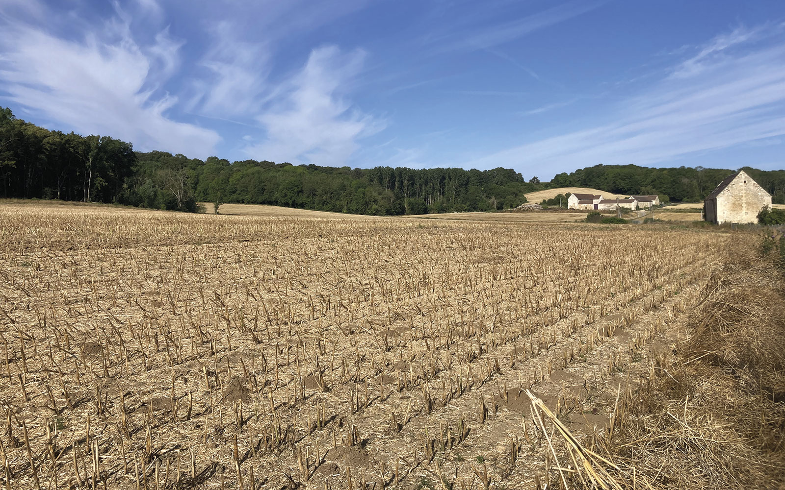 Les agriculteurs impliqués dans le GIEE des Cinq éléments des Sablons sont situés dans l’Oise, sur un territoire où cohabitent agriculture, forêt et habitations.