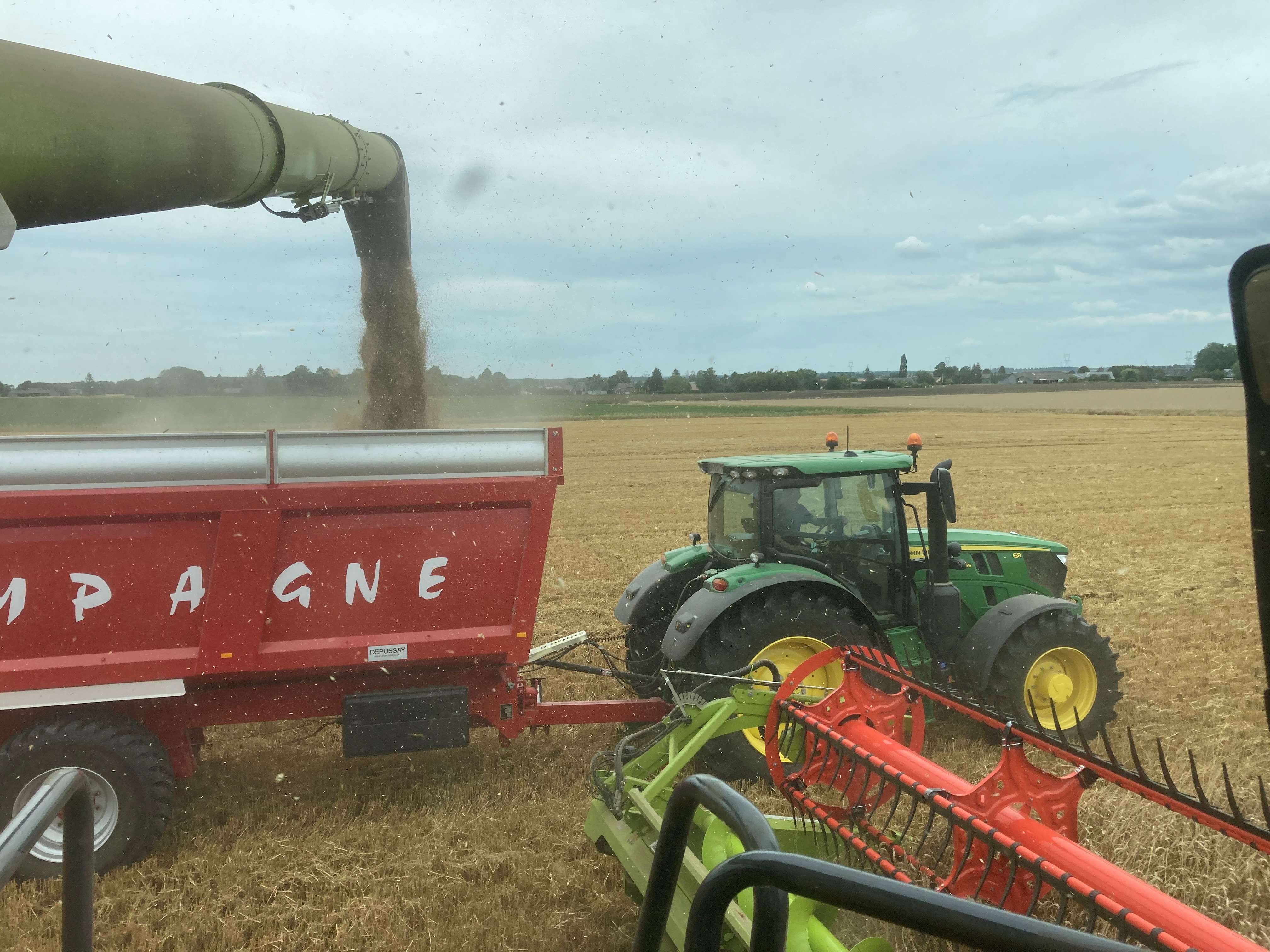 la moisson 2023 s’avère satisfaisante en quantité et en qualité, au-dessus de la moyenne des cinq dernières années.