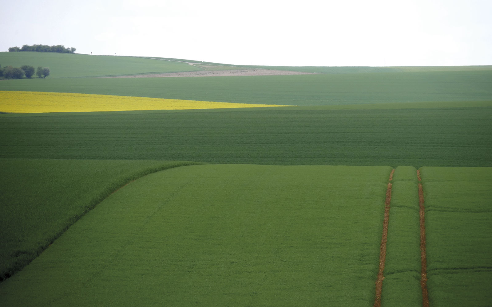 La ferme-type « Plateaux de Bourgogne » est représentative des exploitations situées sur les plateaux de Bourgogne, à faible potentiel, et de leurs pratiques agricoles : rotation colza-blé-orge, fertilisation, non labour, matériels...