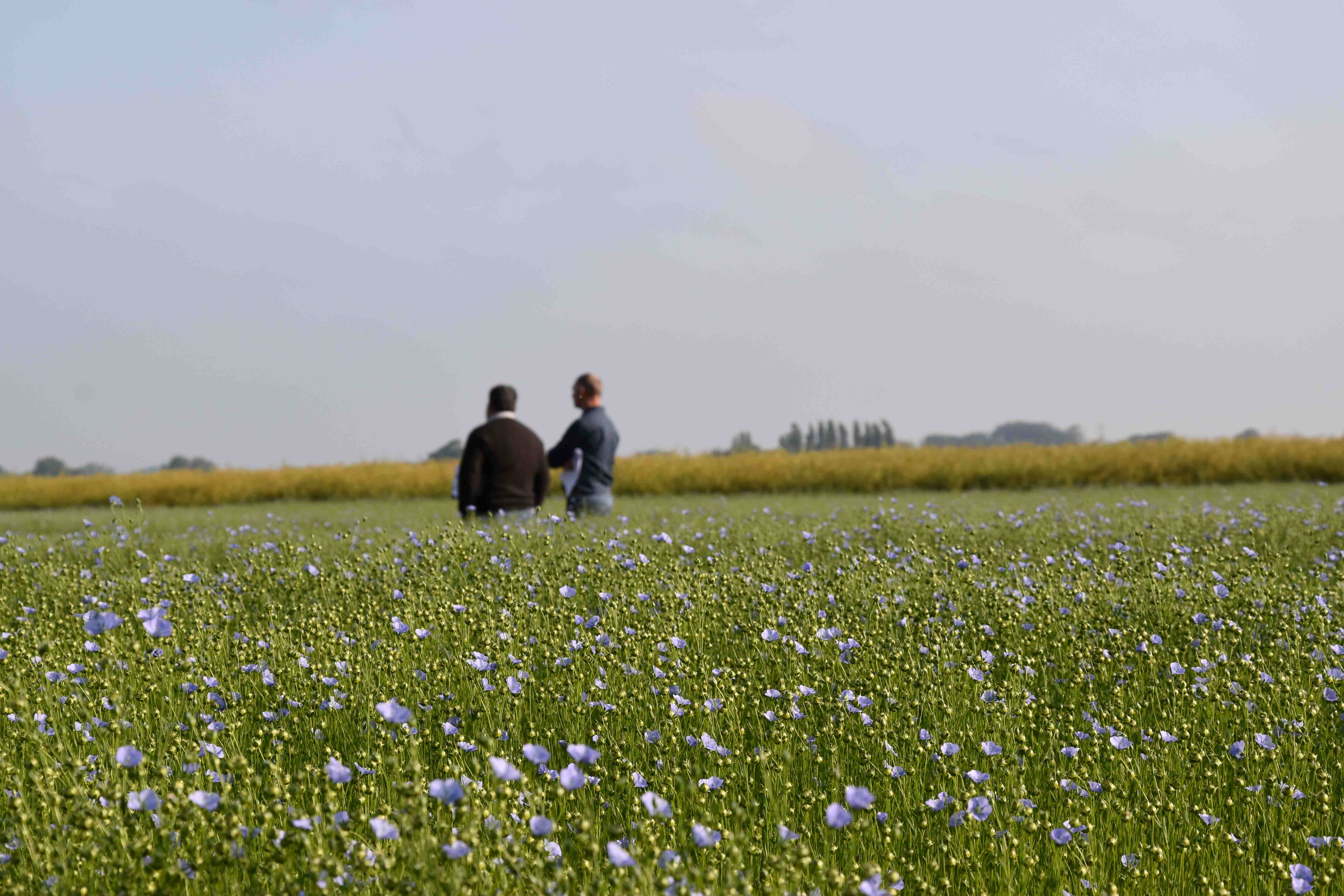 L’objectif de l’Observatoire de la fertilité des sols mis en place dans le nord de la France est de mieux connaitre le fonctionnement des sols, de préserver leur qualité et de permettre un meilleur pilotage des services écosystémiques.