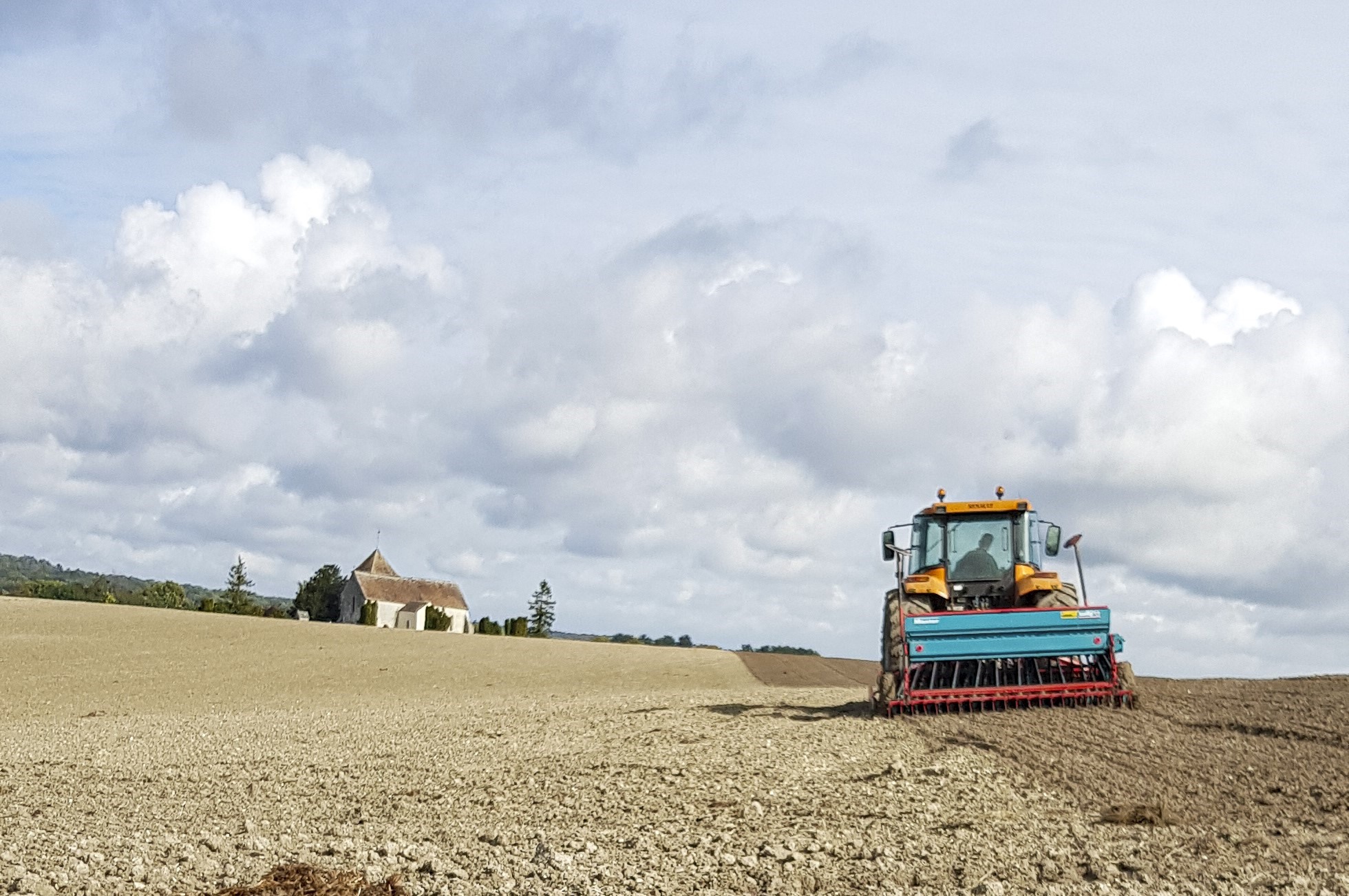 En sol superficiel et caillouteux, les semis précoces sont à privilégier, avec des densités à majorer de 15 % environ.