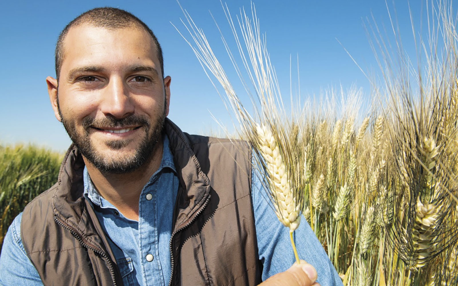 Filippo Bassi est sélectionneur de blé dur pour l’Icarda