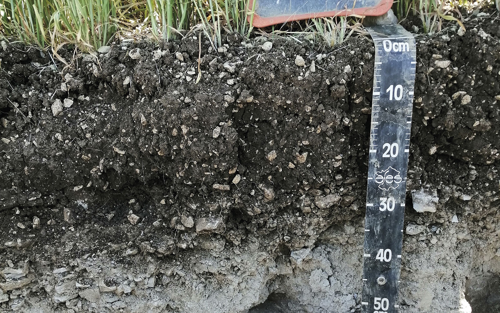 L’accès d’une culture à l’eau et aux éléments nutritifs dépend du réservoir utilisable. Lui-même dépend du sol mais aussi de la plante elle-même, via son enracinement.