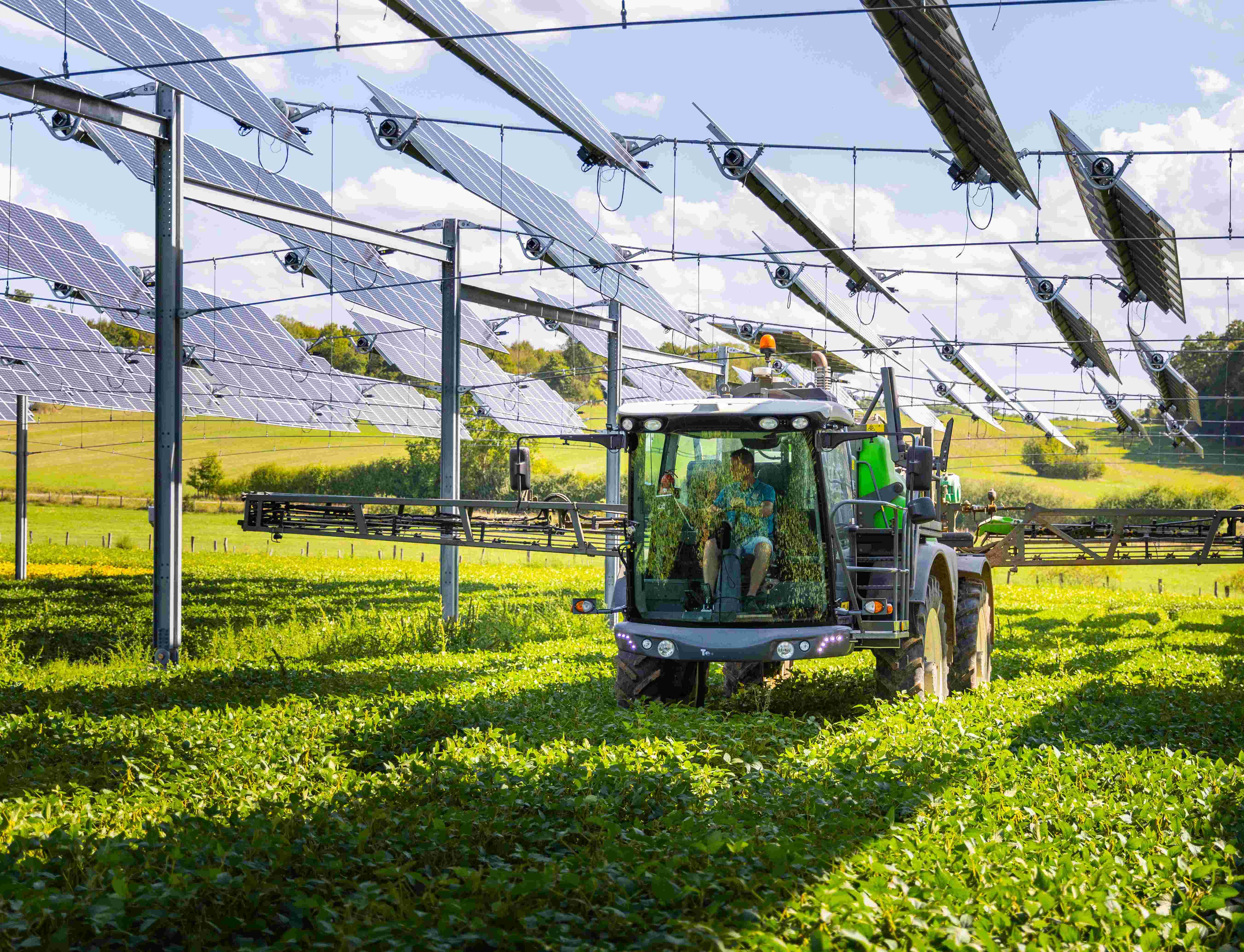les projets agrivoltaïques seront soumis à examen préalable de la CDPENAF afin de garantir l’activité agricole. Photo TSE.