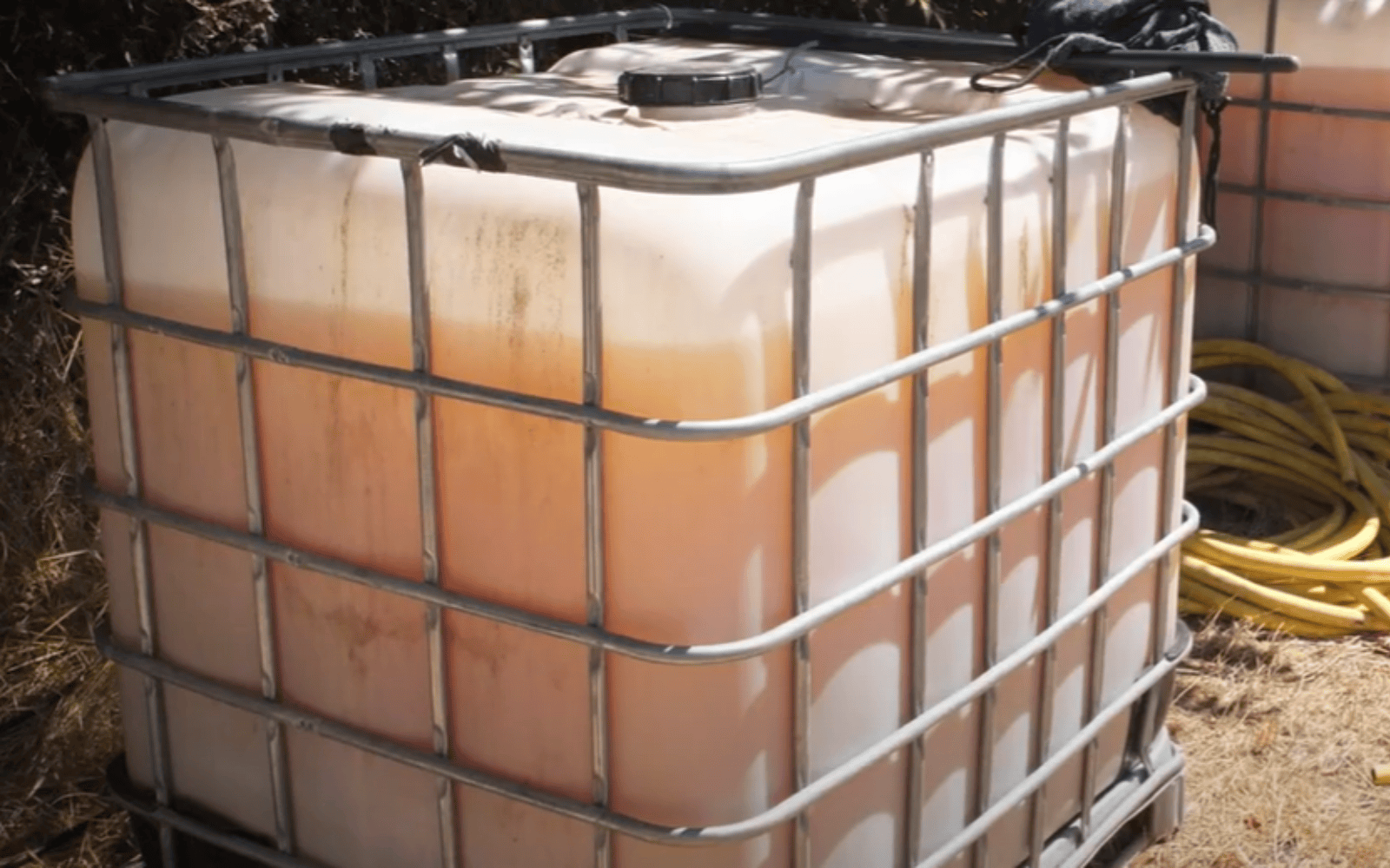 L'urine utilisée dans les essais de la Chambre d'agriculture provenait de festivals. @Inrae