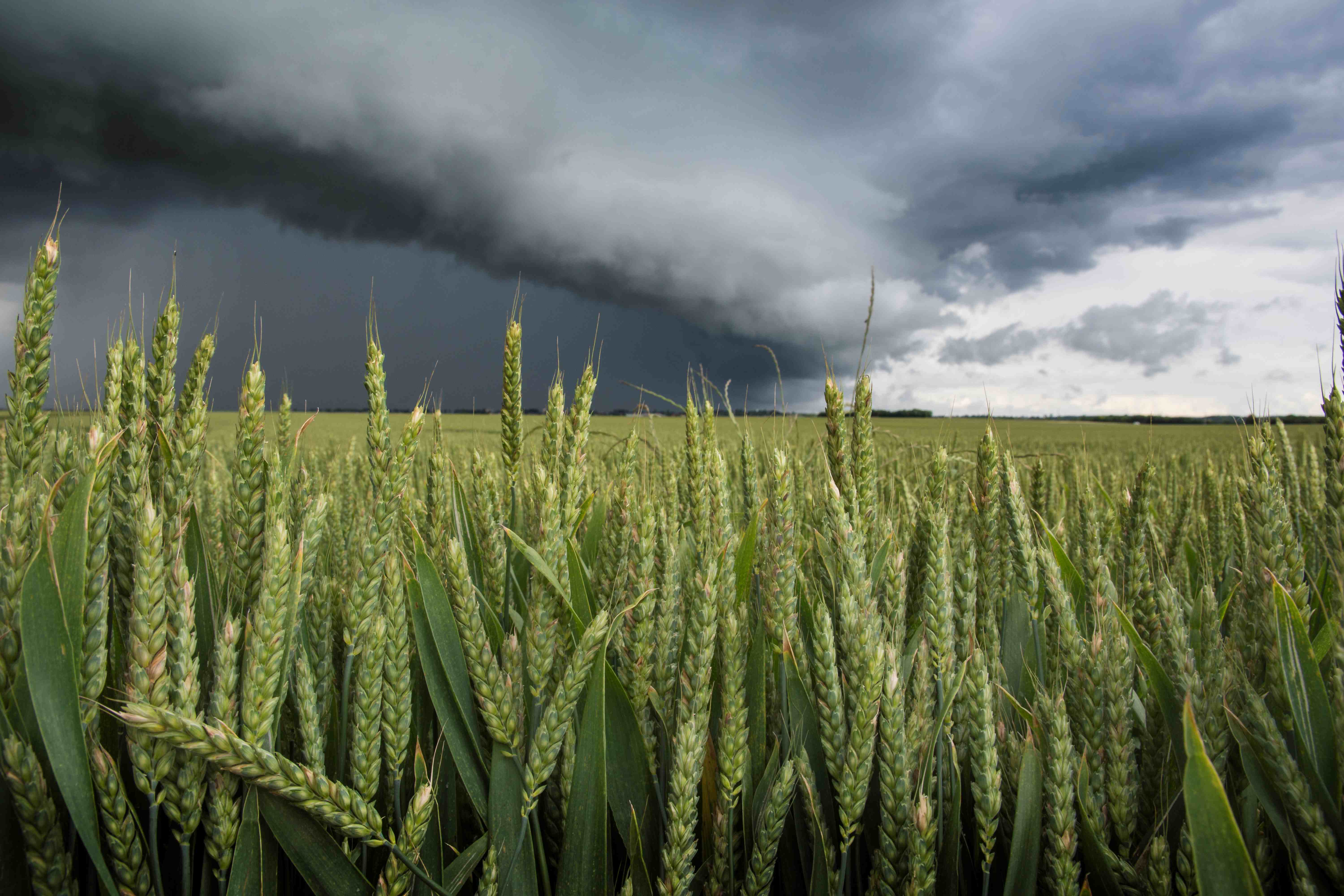 La météo instable pourrait perdurer quelques semaines