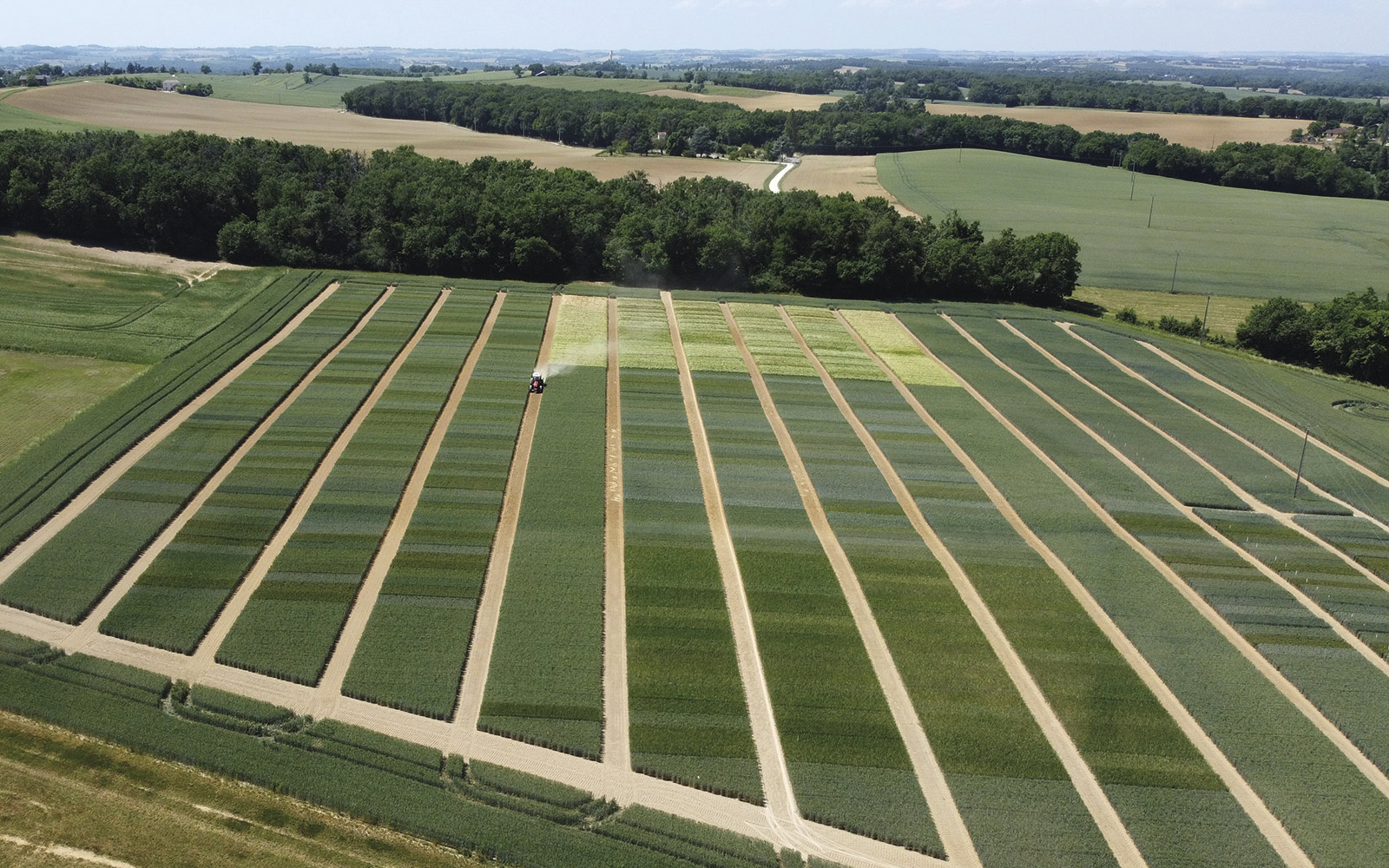 La station Arvalis de Montaut-les-Créneaux réalise ses essais dans des parcelles d’agriculteurs, en collaboration avec les coopératives locales.