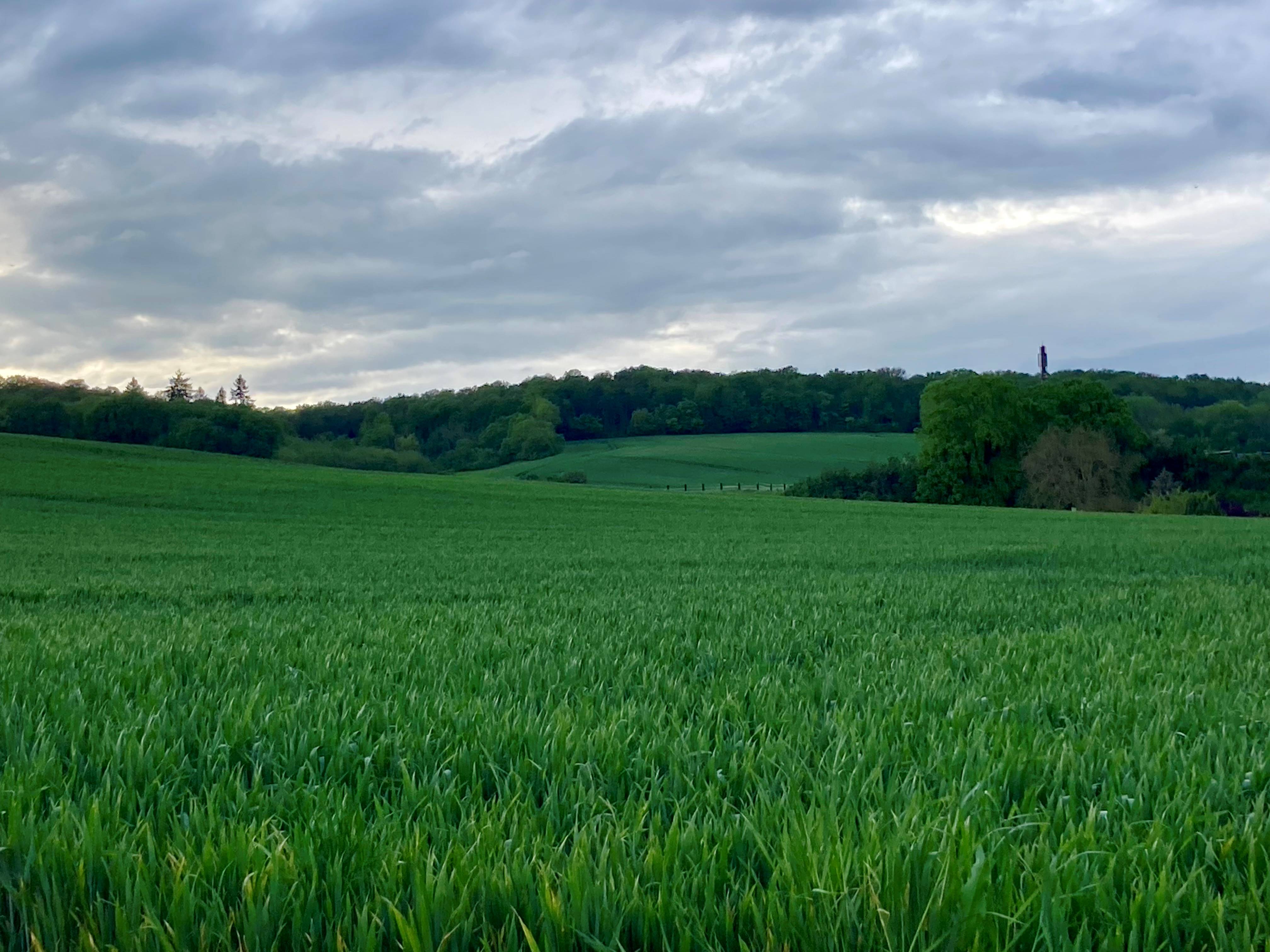 Avec Ecophyto 2030, la France poursuit son objectif d’une réduction de 50% de l’utilisation et des risques globaux des produits phytosanitaires