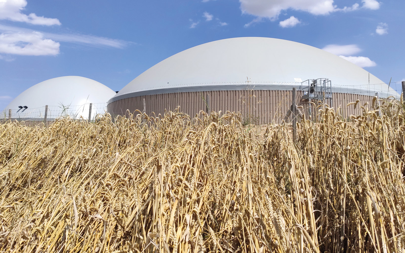 En 2023, la production de biogaz a atteint 9,1 térawatts-heures (TWh), soit significativement plus que les 6 TWh fixés par la Programmation pluriannuelle de l’énergie.