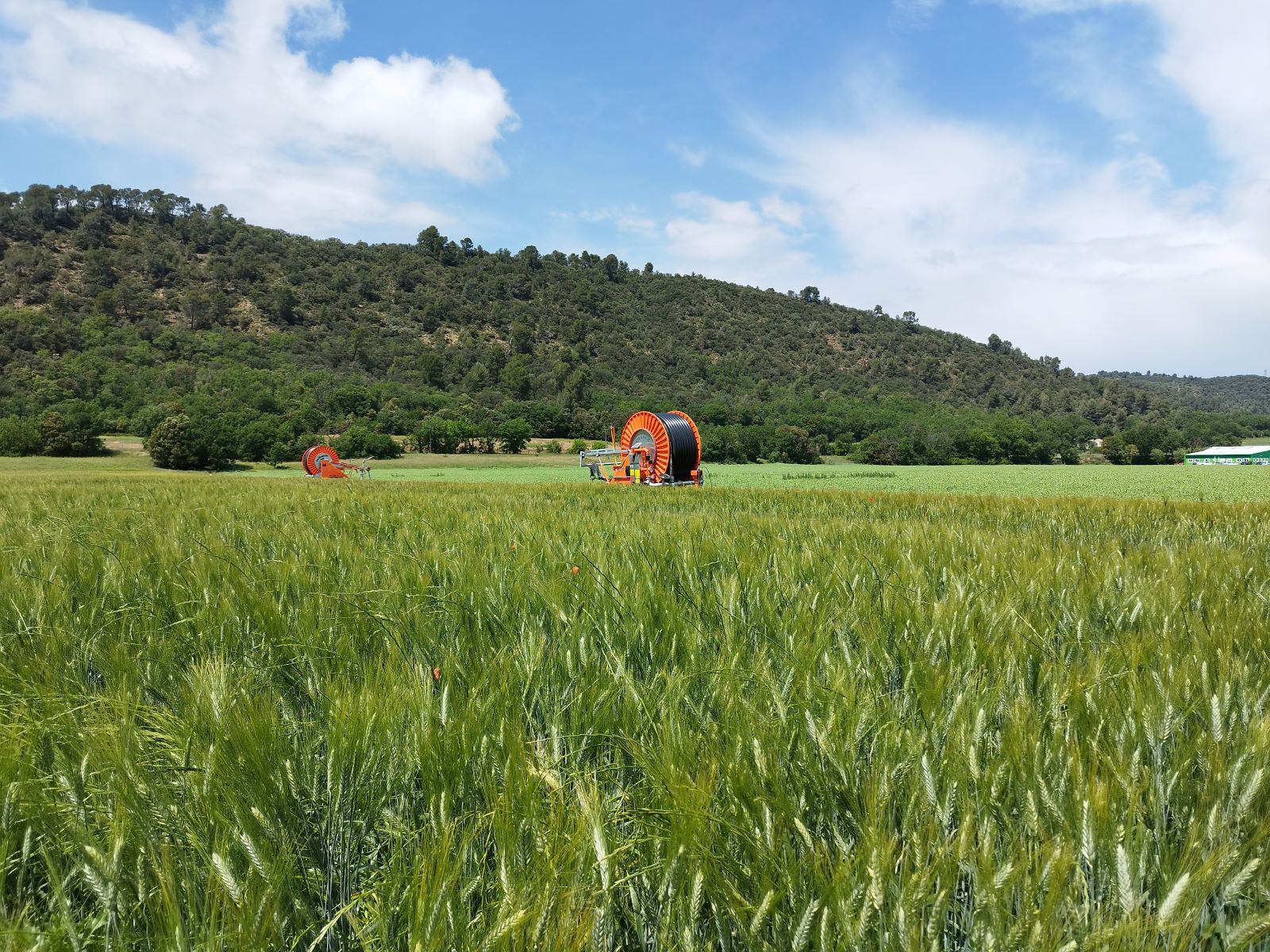 neuf projets territoriaux sont en cours pour coconstruire avec les agriculteurs des scénarios d'évolution des assolements pour s'adapter au climat futur.