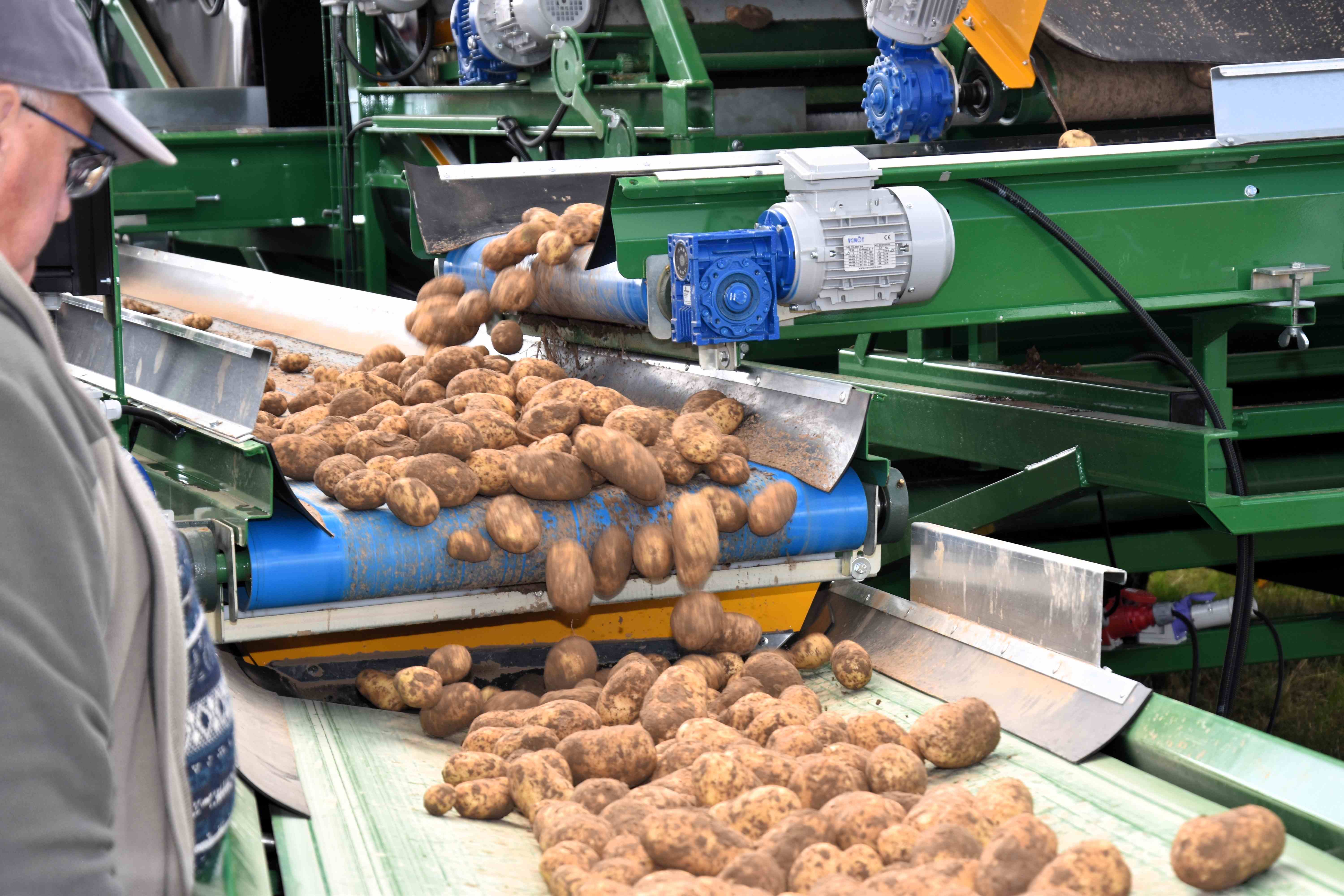 Le Catalogue 2024 s’est enrichi de quatre nouvelles variétés de pomme de terre de consommation : Chanelle, Millesime, Minette et Sesame.