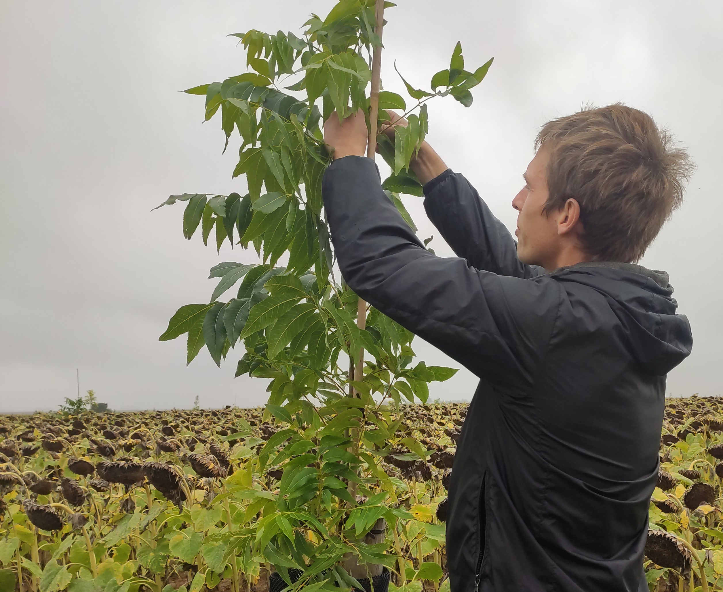 Quentin Guégand : « Le réchauffement climatique que l’on subit peut aussi être l’opportunité d’explorer de nouvelles cultures. »