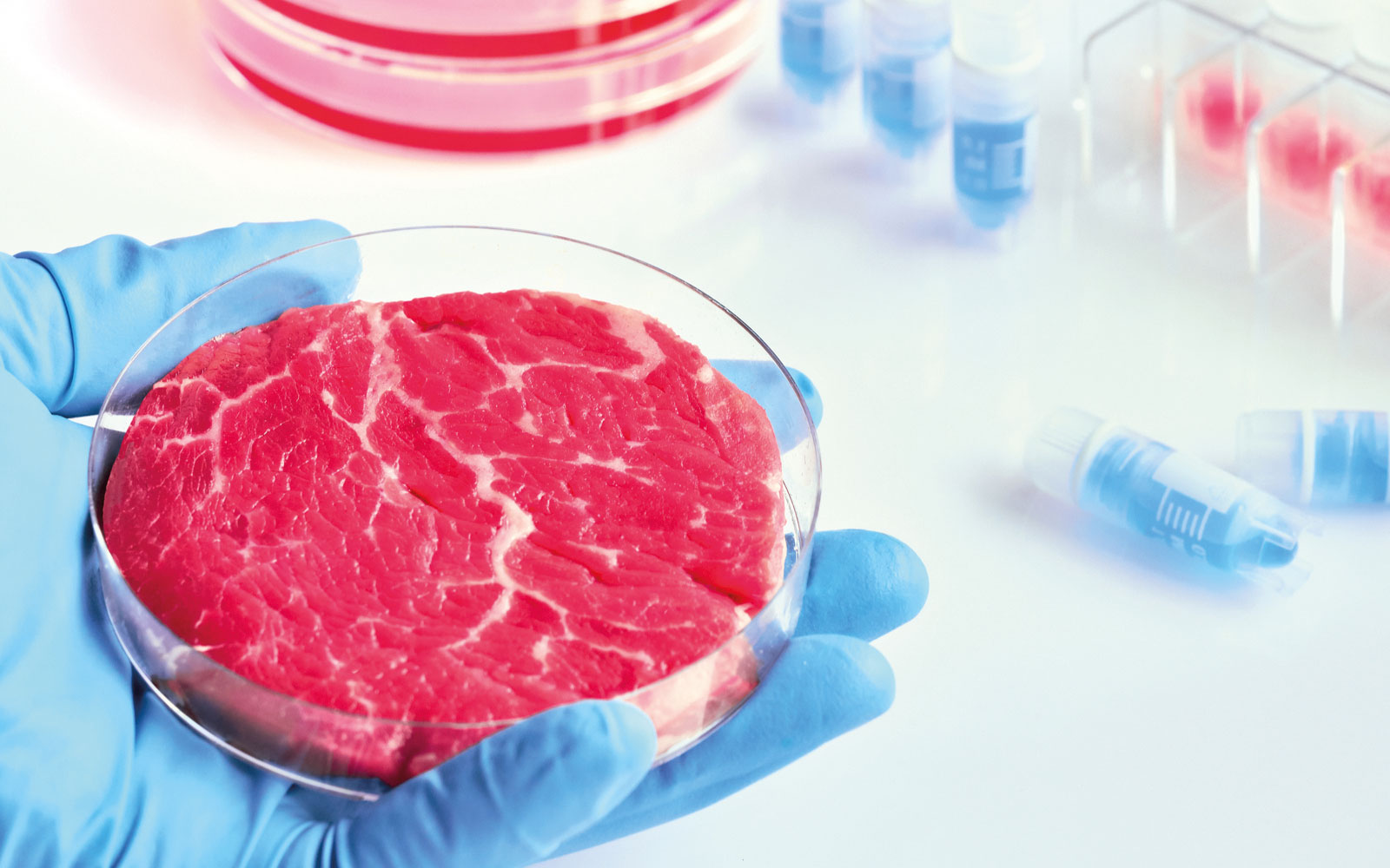 Le rapport de l’EGE affirme que des campagnes visant en réalité la production alimentaire française promeuvent des alternatives à la viande contrôlées par des entreprises américaines ayant massivement investi dans la foodtech et la viande cellulaire.
