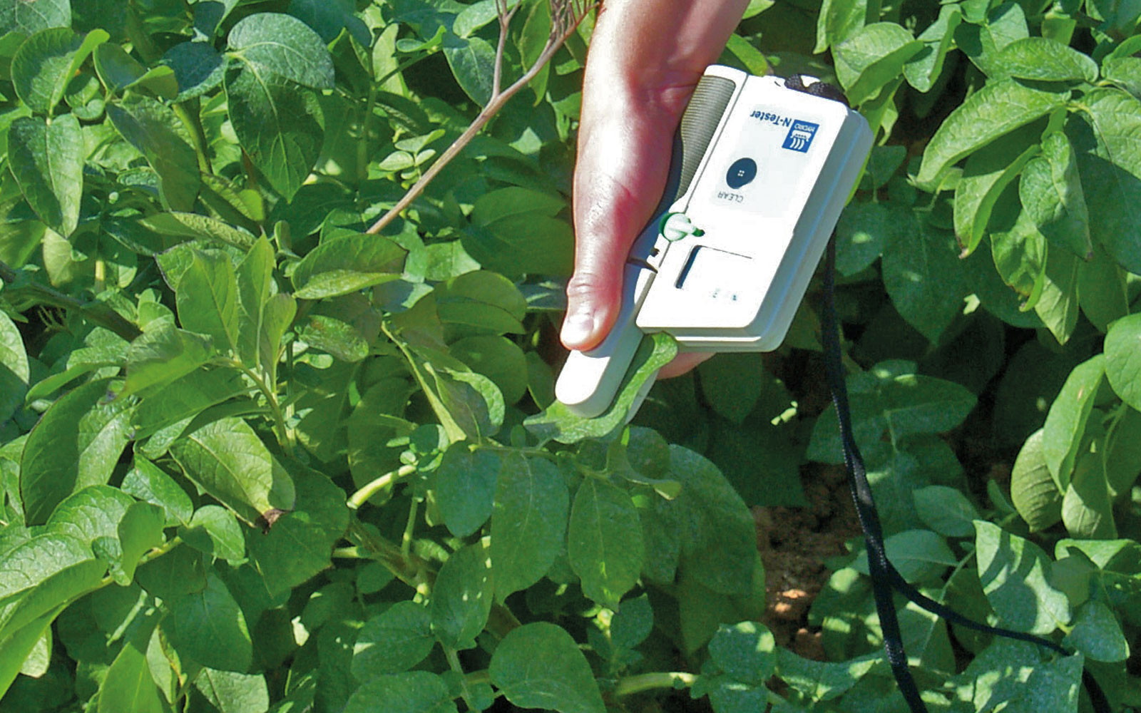 Le projet Nutricheck-net recommande de raisonner la fertilisation des cultures en trois étapes : planification, ajustement et bilan.
