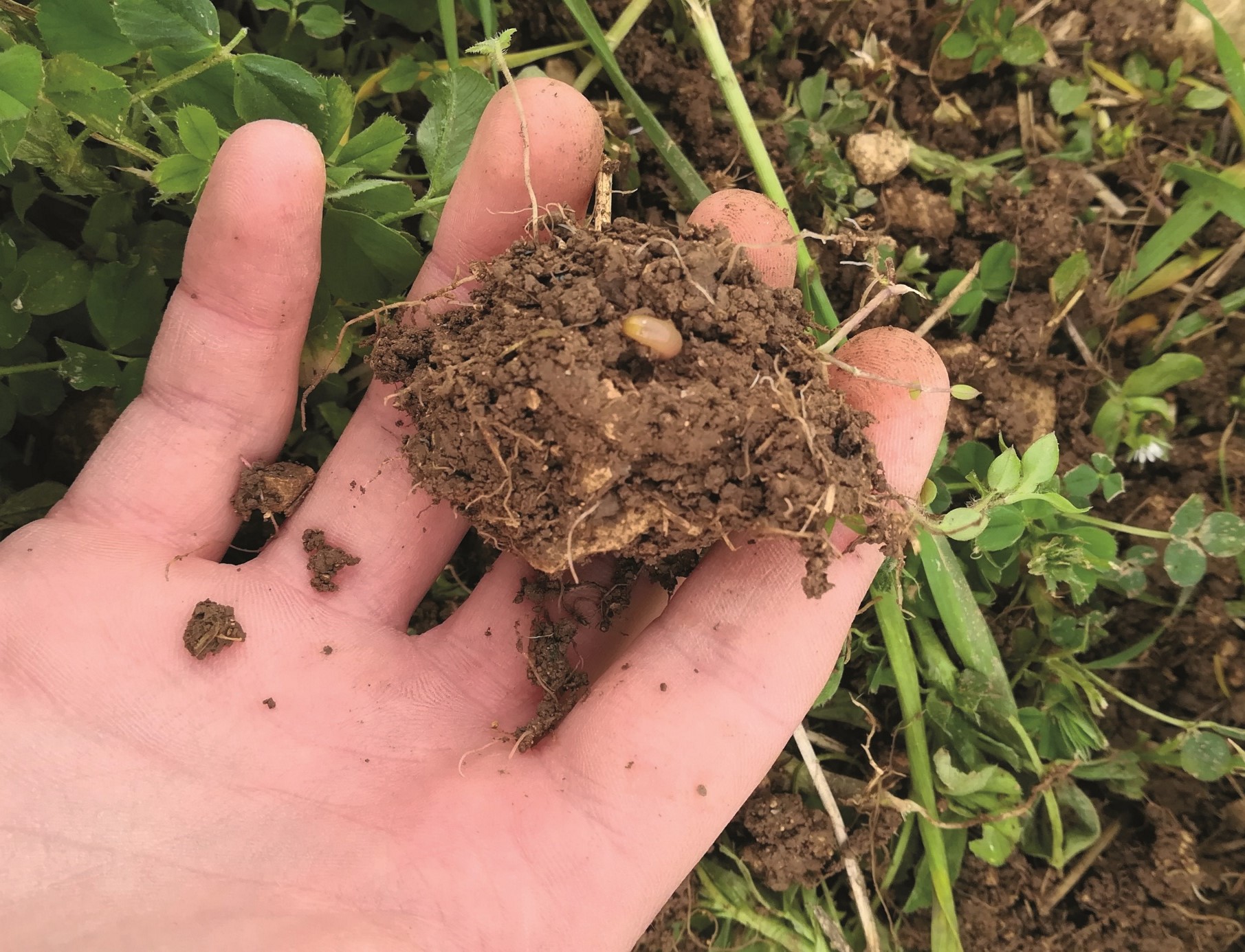 Les agriculteurs qui se lancent dans la transition agroécologique prennent des risques. Comment assureurs et coops peuvent-ils les soutenir ?