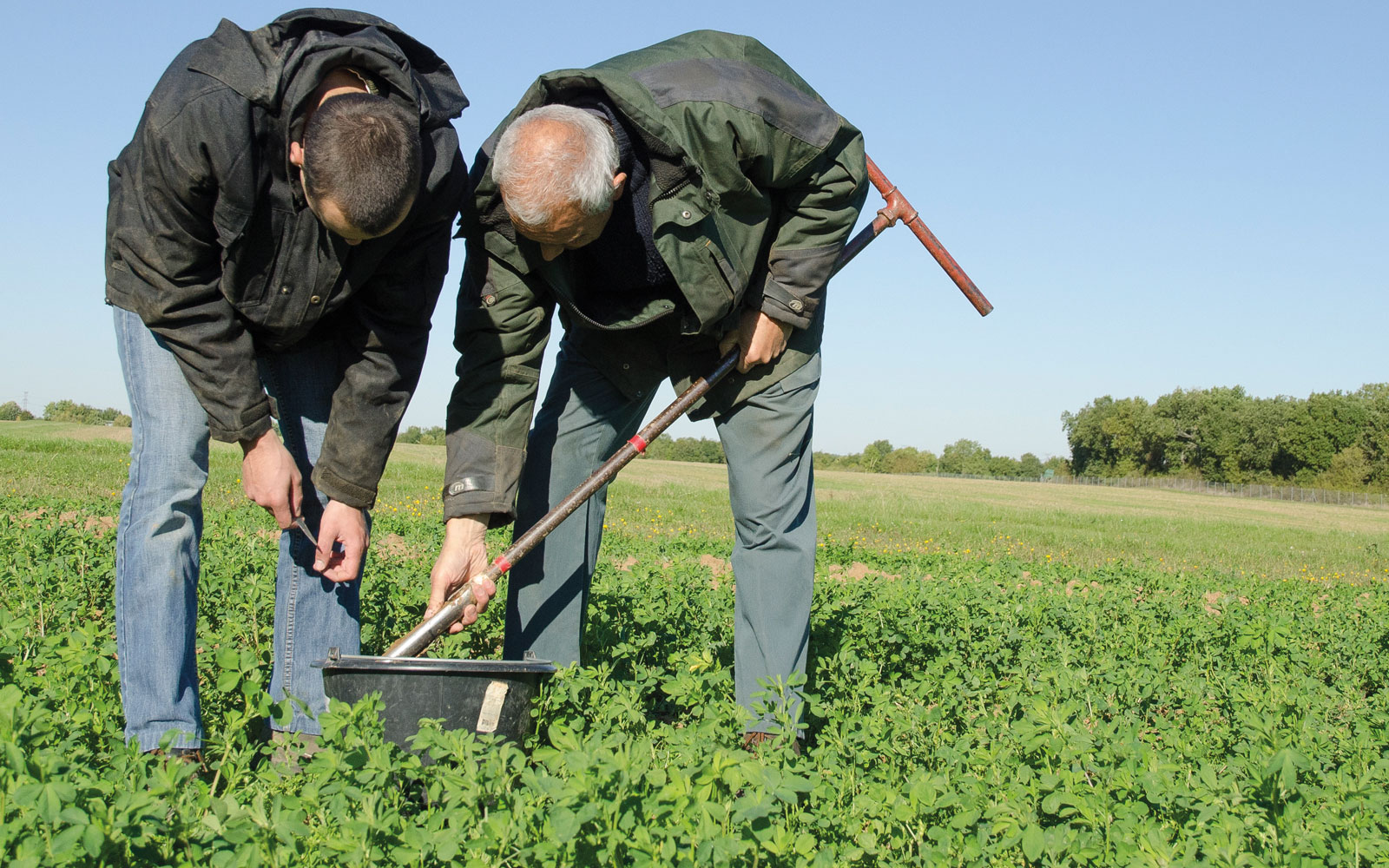 Les données de l’observatoire PhosphoBio sont issues d’analyses de terre et des résultats d’enquêtes sur les pratiques agricoles menées auprès d’agriculteurs.