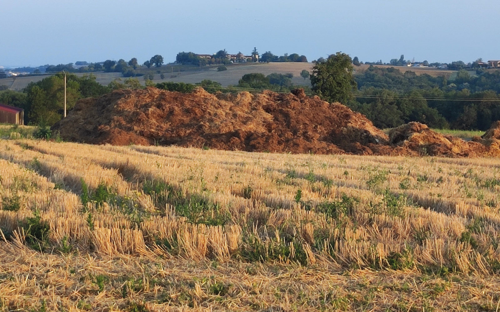 En Bretagne, région d’élevage, le très faible pourcentage de surfaces recevant un engrais minéral phosphaté s’explique par l’apport de fertilisants organiques.