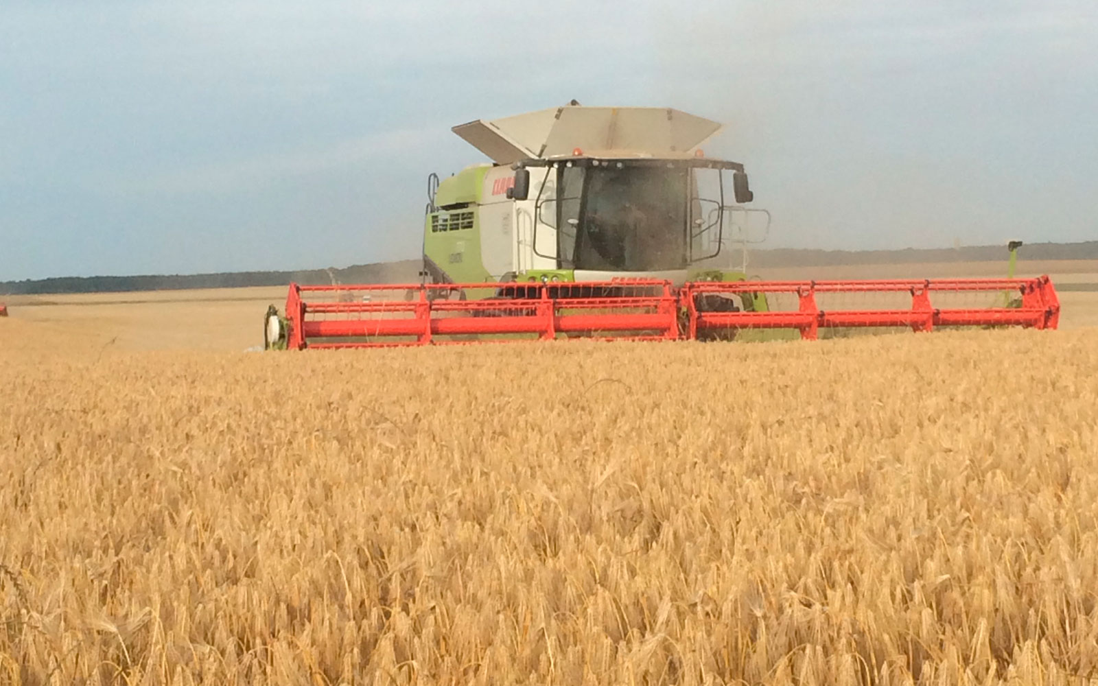 Pertes de grains : privilégier le débit de chantier