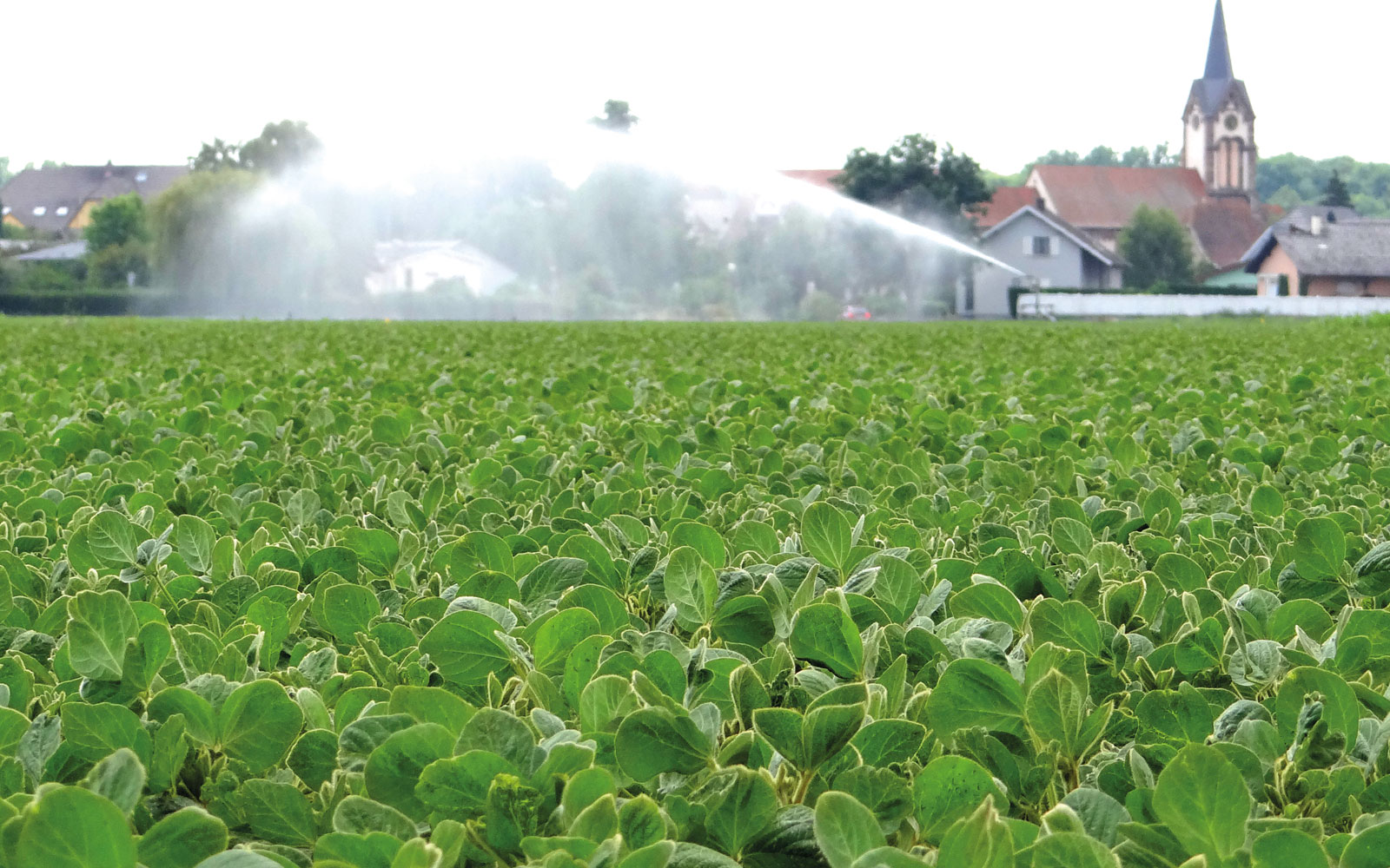 Les outils numériques de gestion de l’irrigation peuvent-ils à la fois limiter le stress hydrique des cultures et préserver la ressource en eau ?