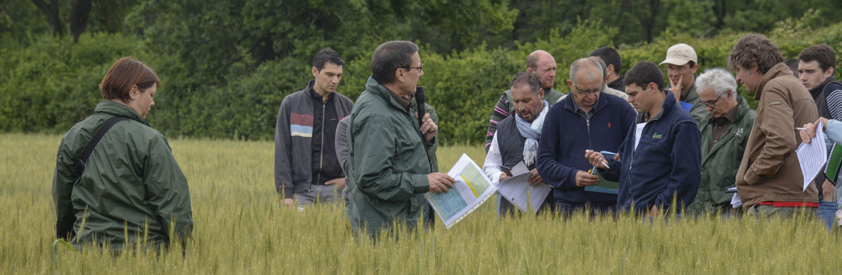 Des programmes fongicides adaptés à votre région.