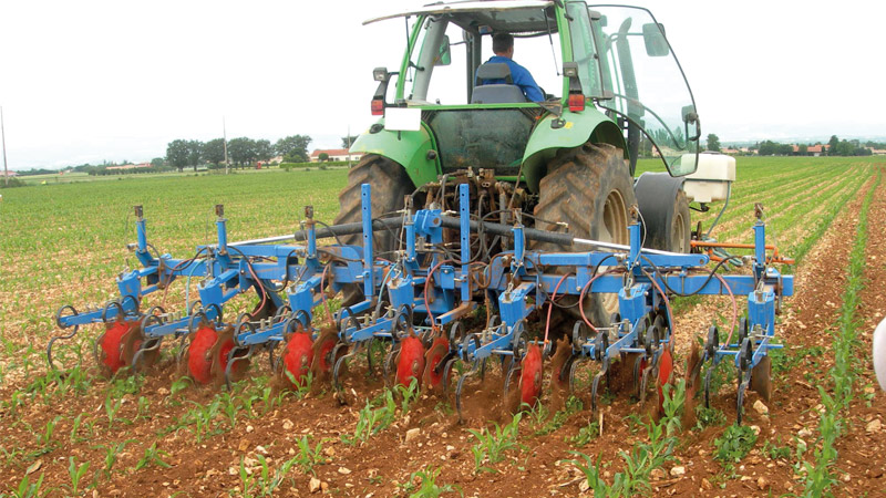 Faut-il désherber le maïs en mixant herbicide et binage, tout chimique, ou tout binage?