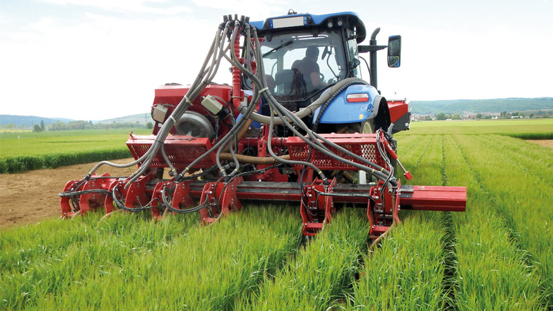 Avantages et limitations de la double culture et du relay cropping