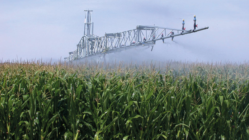 L'irrigation de précision du maïs grain et fourrage