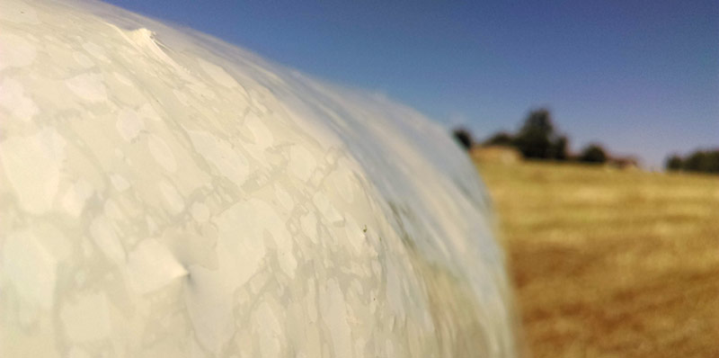 Evaluation du liage des balles par film plastique