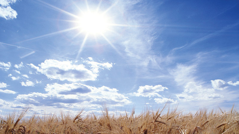 Une saison climatique pertubée