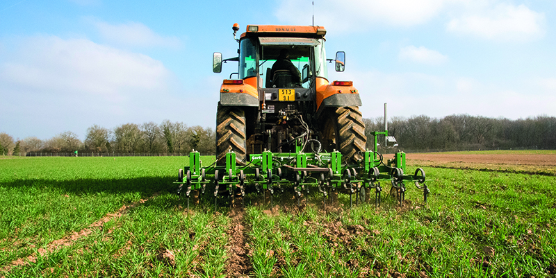 L'agriculture biologique est-elle si vertueuse que cela ?