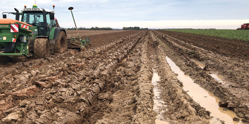 Blé tendre d'hiver: plusieurs stratégies fongicides évaluées en 2020