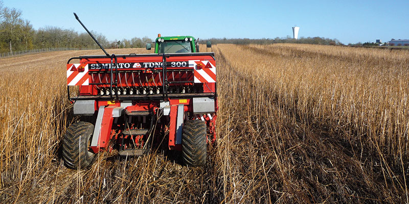 Nouveaux usages du glyphosate autorisés en grandes cultures