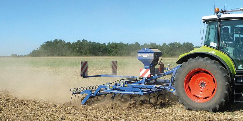 Sept cas concrets de désherbage sans glyphosate en interculture