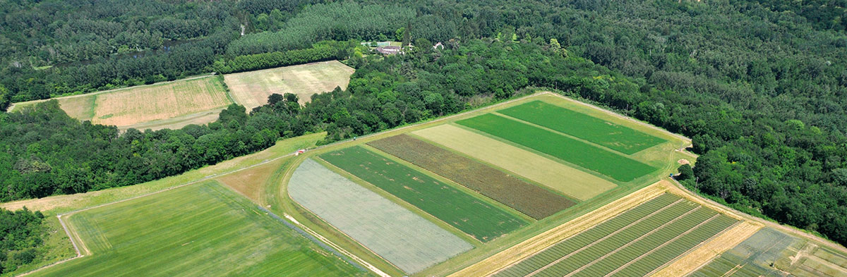 Conduire les cultures en AB sans apport d'engrais azoté
