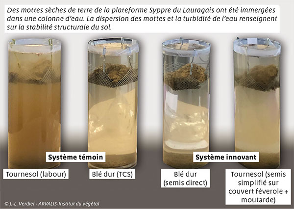 Fertilité du sol : définition et explications