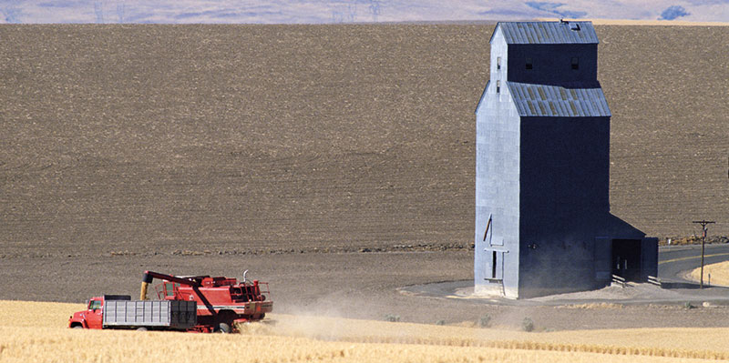 Analyser les facteurs déterminants des marchés agricoles