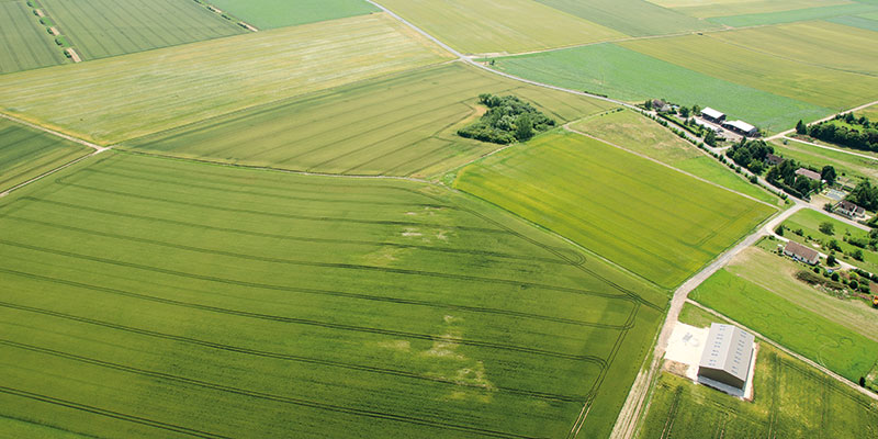 Performances du commerce extérieur agroalimentaire français
