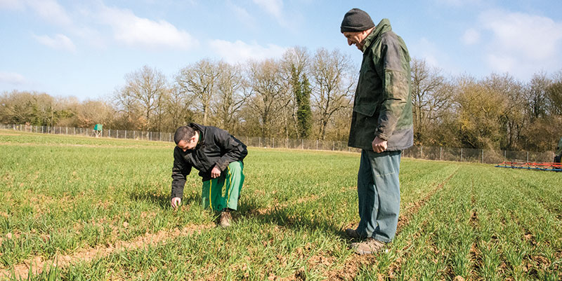 Analyse des résultats économiques d'une ferme bio en Beauce
