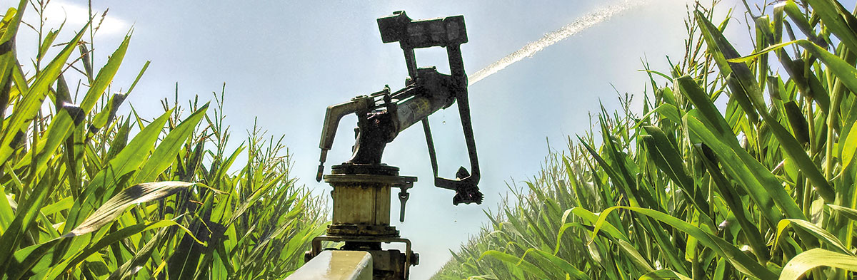 Irriguer avec moins d'eau