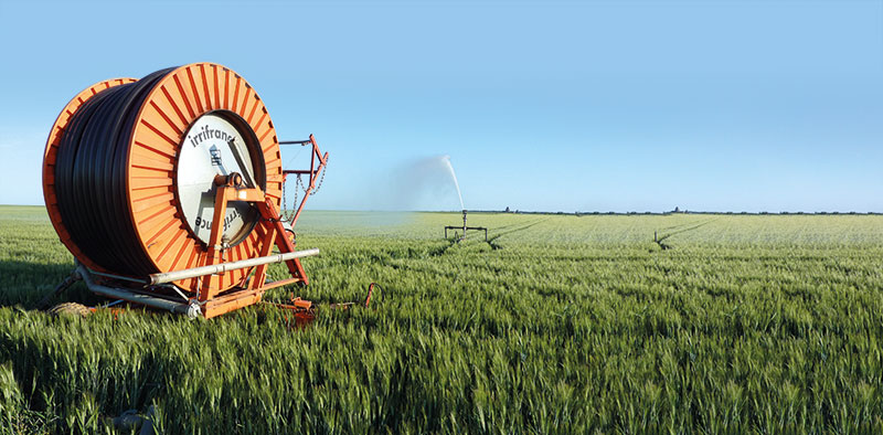 Bénéfices et inconvénients de l'irrigation des céréales à paille