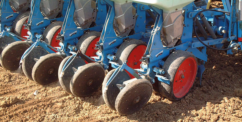 Conditions requises pour l'extension des zones de semis du tournesol