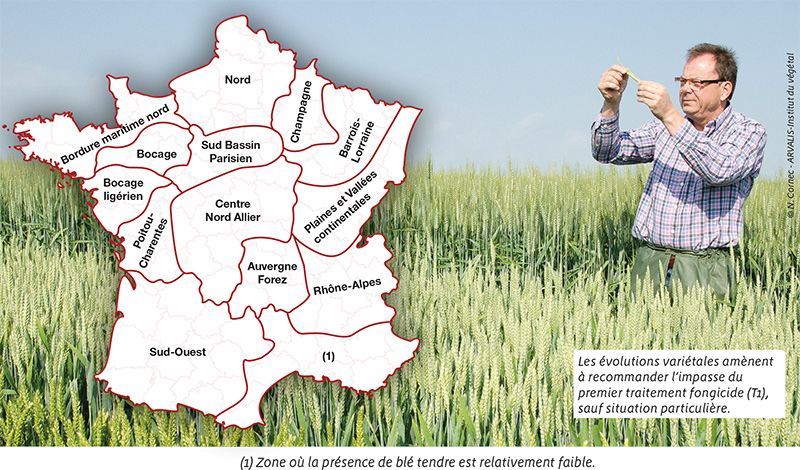 Recommandations régionales pour le choix des variétés de blé tendre