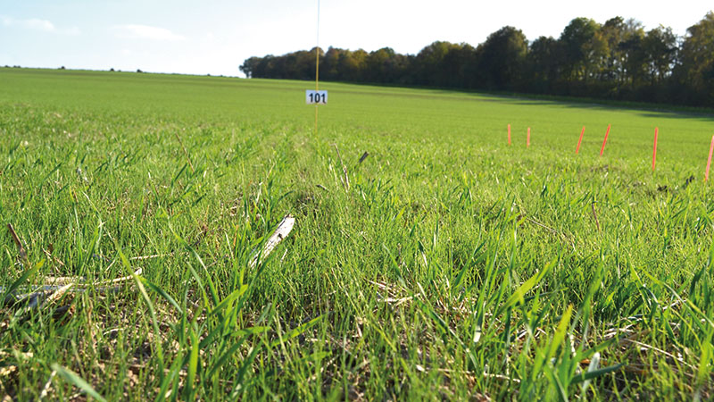 Quels seraient les effets d'une réduction des herbicides disponibles